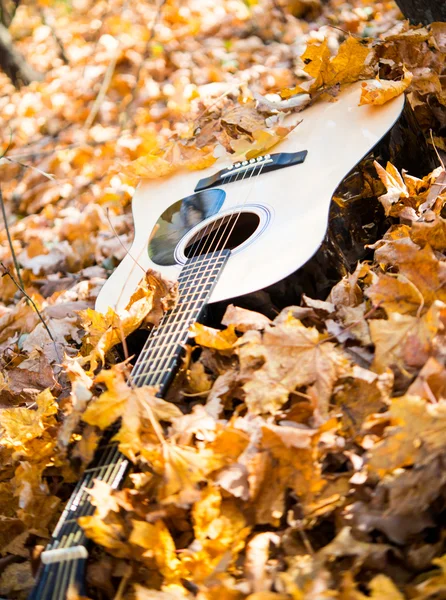 Gitarre im Herbstlaub — Stockfoto