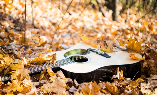 Gitara w autumn odchodzi — Zdjęcie stockowe