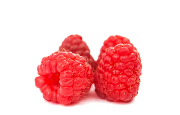 Raspberries isolated — Stock Photo, Image