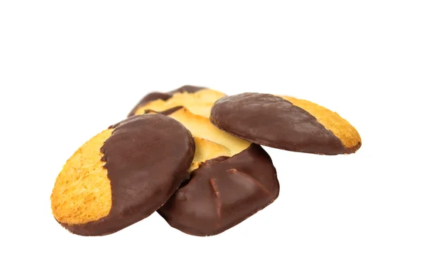 Cokelat biskuit terisolasi — Stok Foto