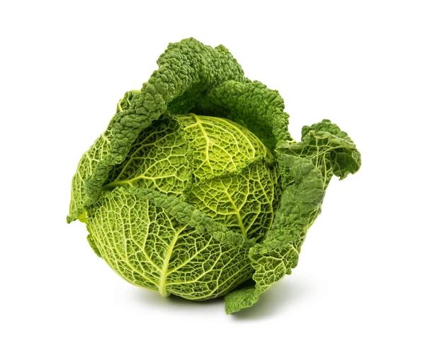 Savoy cabbage isolated — Stock Photo, Image