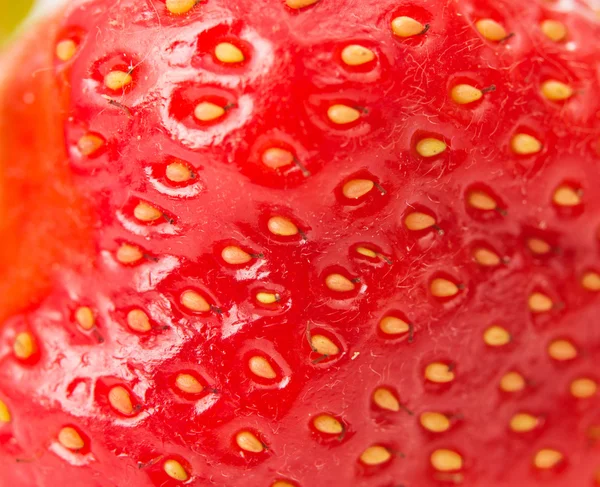 草莓纹理-背景 — 图库照片