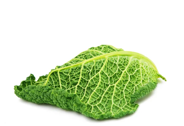 Savoy cabbage isolated — Stock Photo, Image