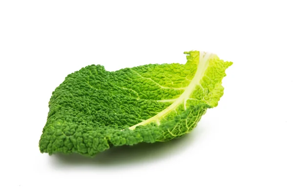 Savoy cabbage isolated — Stock Photo, Image