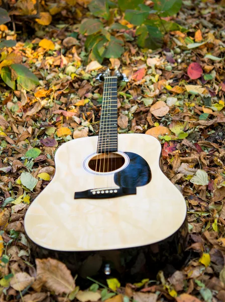 Guitarra en hojas de otoño — Foto de Stock