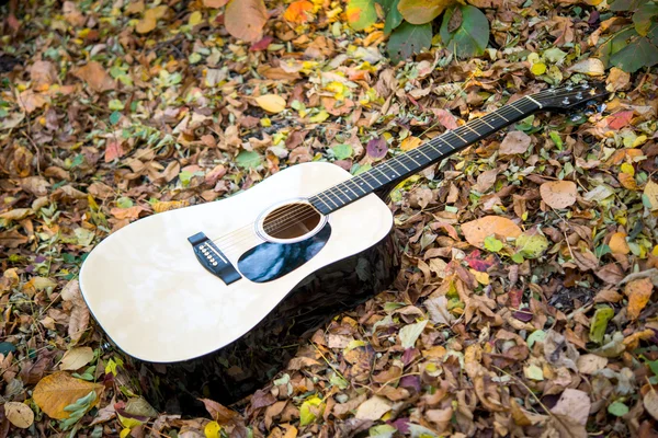 Gitarre im Herbstlaub — Stockfoto