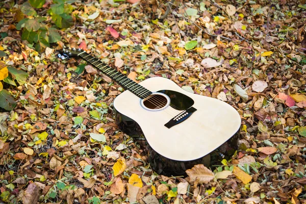 Guitar in autumn leaves — Stock Photo, Image