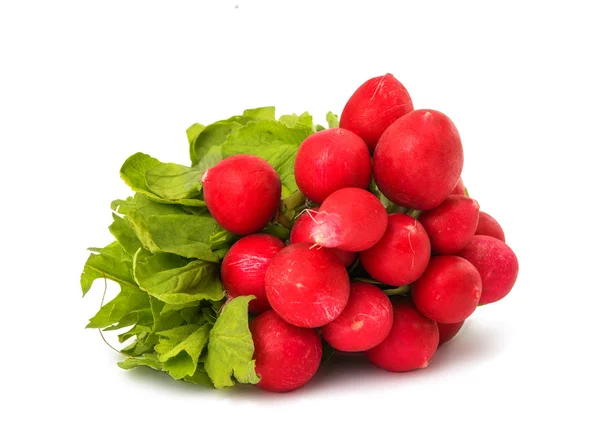 Beam radish isolated — Stock Photo, Image