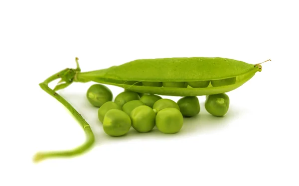 Fresh green pea in pod — Stock Photo, Image