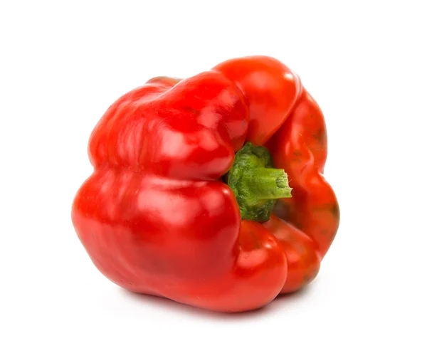 Pepper isolated Stock Picture