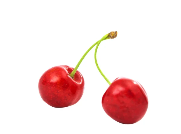 Cerezas aisladas — Foto de Stock