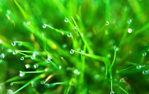 Grandes Pequeños Diamantes Con Luz Neon Verde Brillante Sobre Fondo
