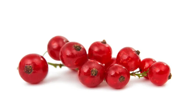 Johannisbeeren isoliert — Stockfoto