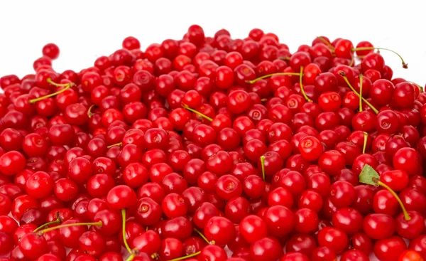 Latar belakang cherry merah — Stok Foto