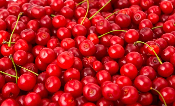 Red cherry background — Stock Photo, Image