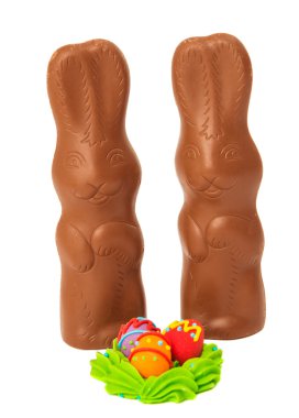 çikolata bunny izole
