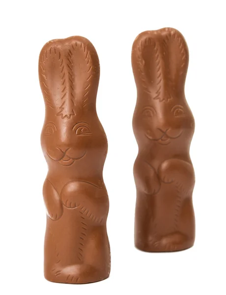 Chocolate bunny isolated — Stock Photo, Image