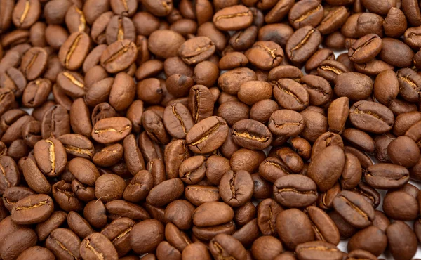 Coffee beans — Stock Photo, Image