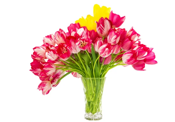 Tulipes dans un vase isolé — Photo