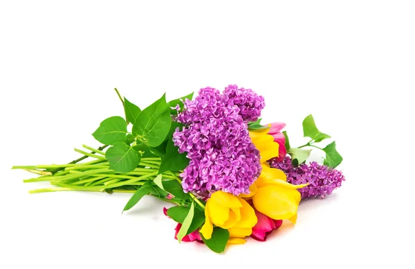 Tulip bouquet of lilacs — Stock Photo, Image