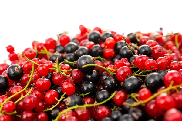 Fresh currants — Stock Photo, Image