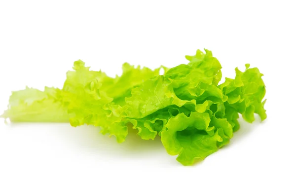 Elszigetelt saláta — Stock Fotó