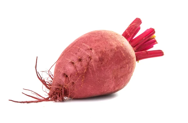 Red beet isolated — Stock Photo, Image