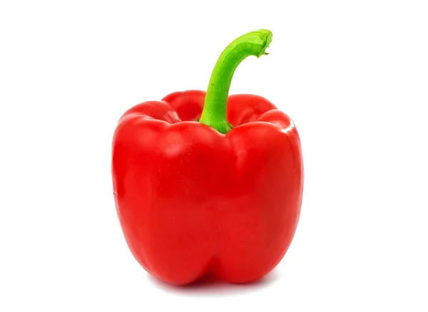 Pepper isolated — Stock Photo, Image