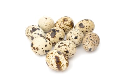 bıldırcın yumurtası 