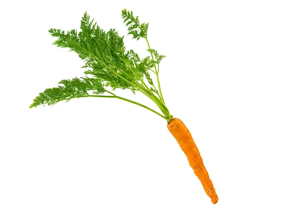 Carrots isolated — Stock Photo, Image