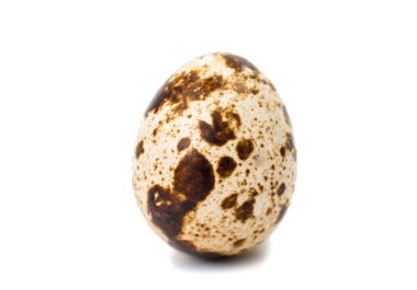 bıldırcın yumurtası 