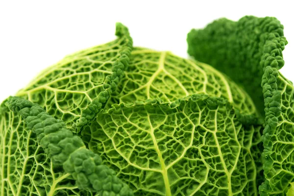 Savoy cabbage isolated — Stock Photo, Image