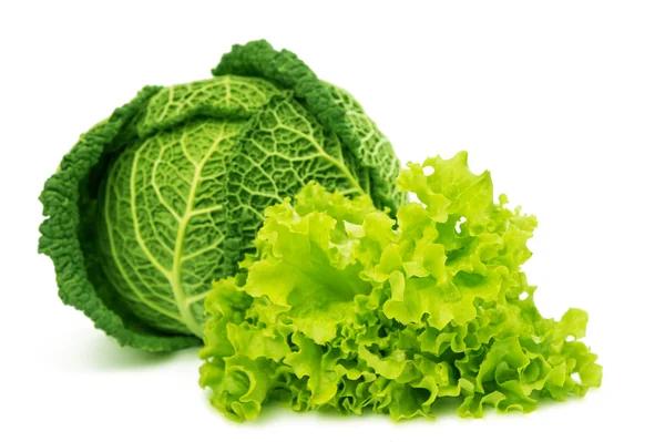 Savoy cabbage isolated — Stock Photo, Image