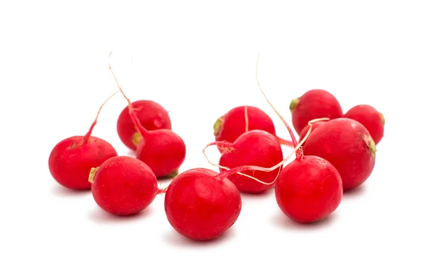 Red radish isolated — Stock Photo, Image