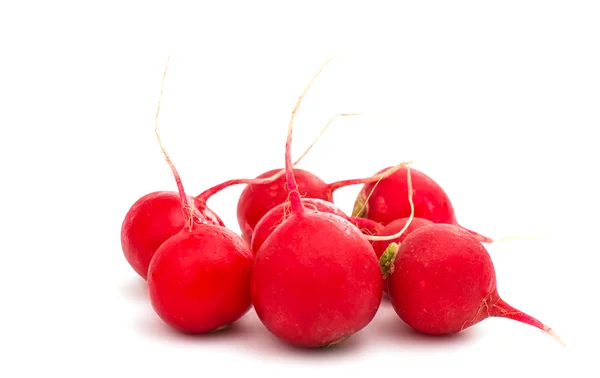 Red radish isolated — Stock Photo, Image