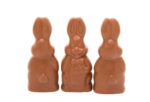 Conejo de chocolate de Pascua aislado — Foto de Stock