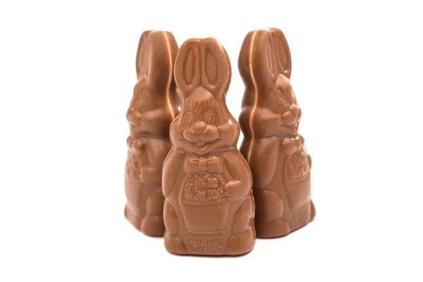 Conejo de chocolate de Pascua aislado — Foto de Stock