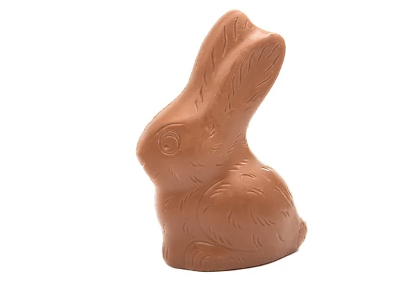 Conejo de chocolate de Pascua aislado —  Fotos de Stock