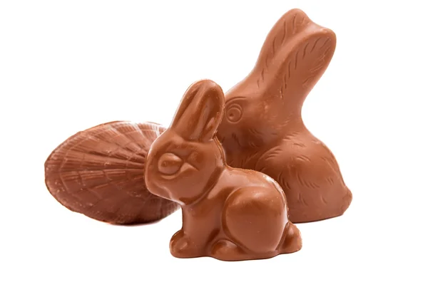 Conejo de chocolate de Pascua aislado — Foto de Stock