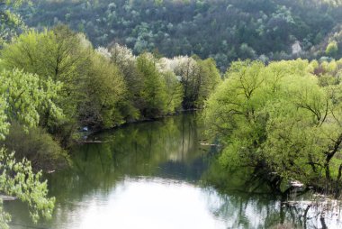Bahar nehri manzarası
