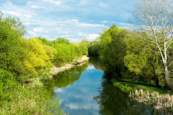 Spring river landscape — Stock Photo, Image