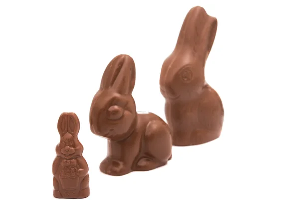 Conejo de chocolate de Pascua —  Fotos de Stock