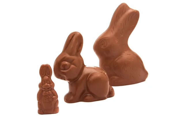 Conejo de chocolate de Pascua — Foto de Stock
