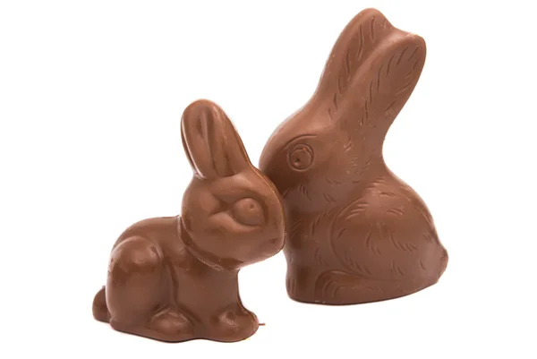 Easter chocolate bunny — Stock Photo, Image