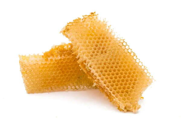 Nids d'abeilles — Photo