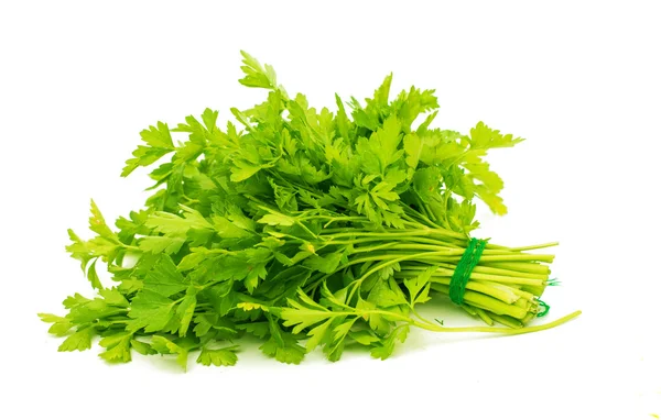 Bunch of ripe parsley — Stock Photo, Image