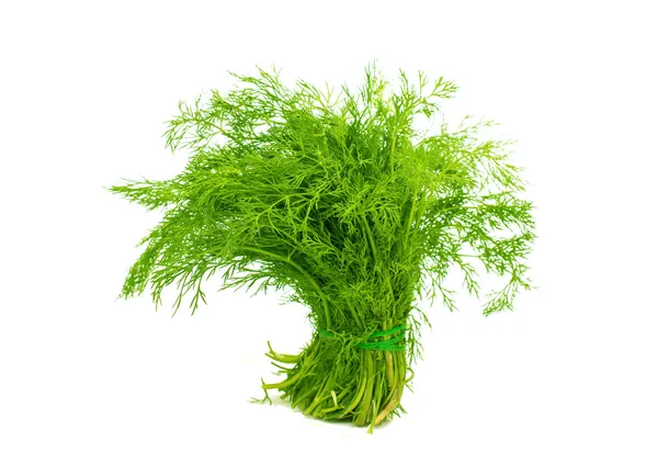 En gjeng ferske dill . – stockfoto