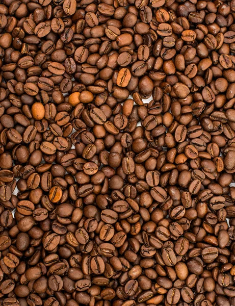 Achtergrond koffiebonen — Stockfoto