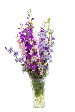 kır çiçekleri izole 