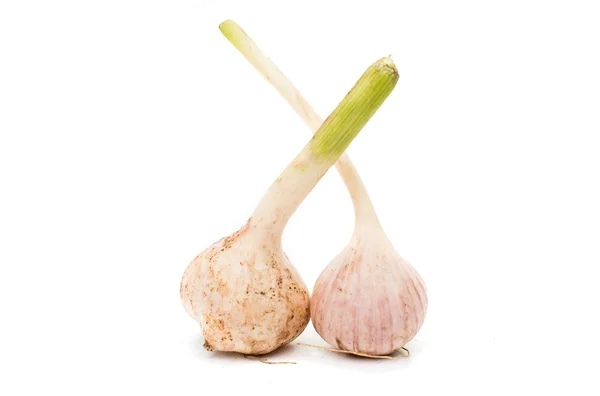 Knoblauch isoliert — Stockfoto